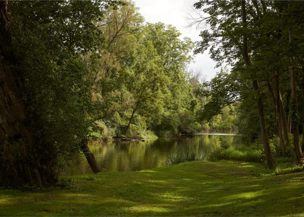 Tenmile Distillery Property Grassy bank next to a narrow body of water.