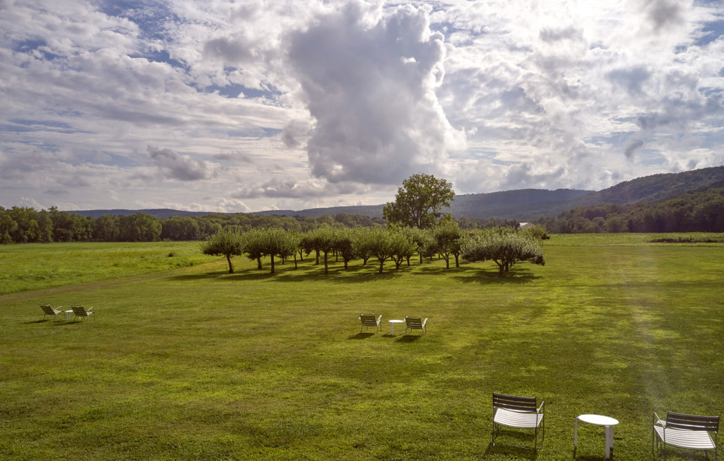Tenmile Distillery Lawn Grassy lawn area with lawn chairs.