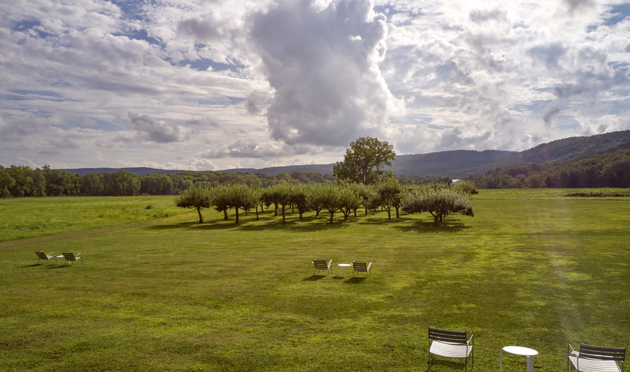 Grassy lawn area with lawn chairs.