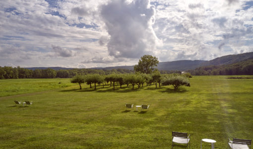 Grassy lawn area with lawn chairs.