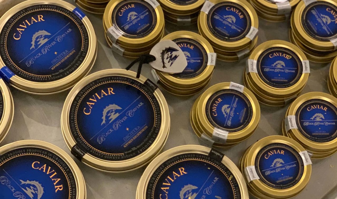 Tins of Black River Caviar on a table.