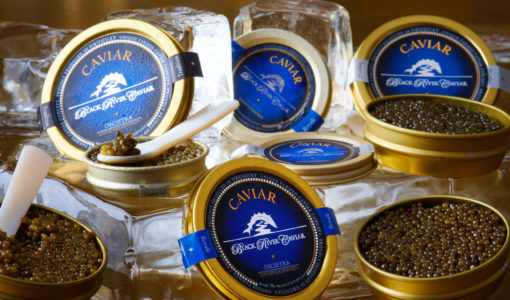 tins of Black River Caviar