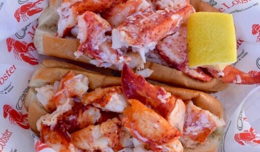 Cousins Maine Lobster Roll
